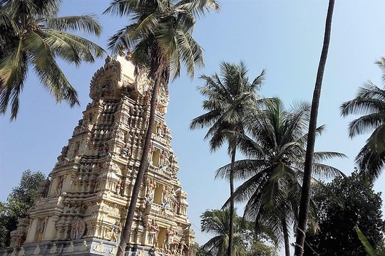 Tour image 2