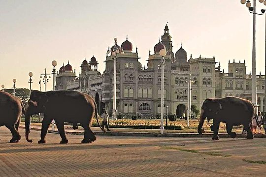 Tour image 1