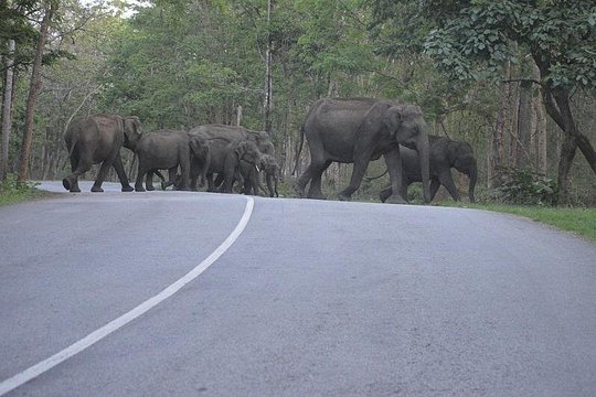 Tour image 6